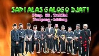 BANTENG  NDIGAR part 2