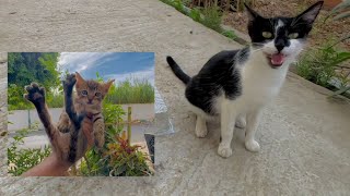 Mama Cat couldn't stop talking about her sweet little family.