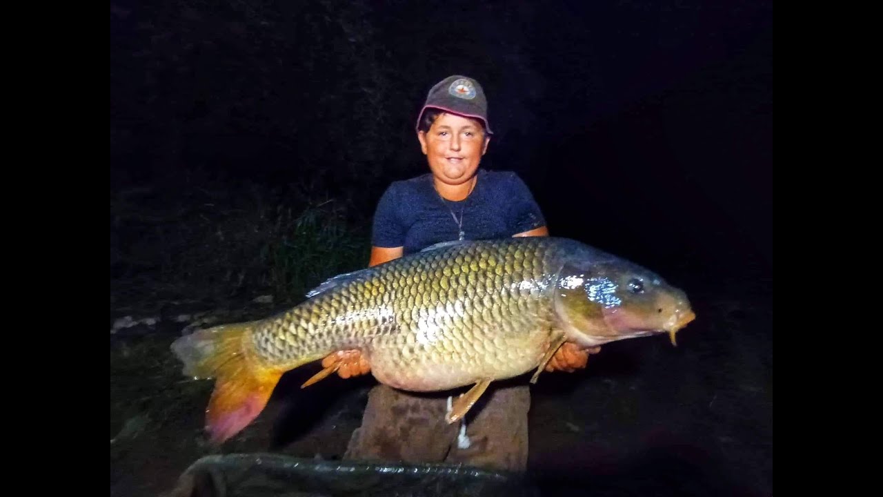 Berounka...Poklady malé řeky 2...Kapři ze zvedlé kalné řeky.