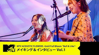 花ちゃんズ Youtube