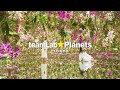 teamLab Planets TOKYO