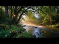 Peaceful Flowing River 🌊 Natural Ambience Sound for Deep Sleep and Stress Relief #786