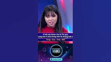 Trí Lực Sánh Đôi | Đội của Quốc Thuận liệu có phá tan được lời ng.uyền "thần thua"?  #tlsd