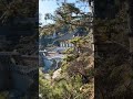 🏯Haedong Yonggungsa Temple In Busan Stands Out Because Of its Coastal Location! #shorts #southkorea