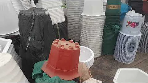 Mẫu chậu nhựa đẹp nhất năm nay.Đi nhập chậu nhựa và túi vải trồng cây. lh 0915882513