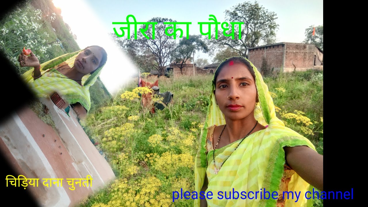 यह मैं कहां परआ गई