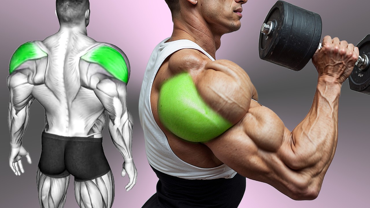 7 Best Rear Delt Exercise (BOULDER SHOULDERS) - YouTube