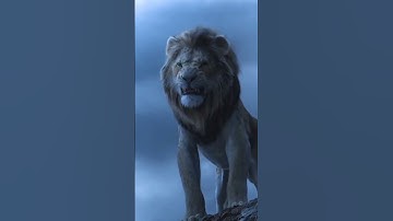 Thumbnail of 😎😎 Lion,Black panther,tiger,cheetah