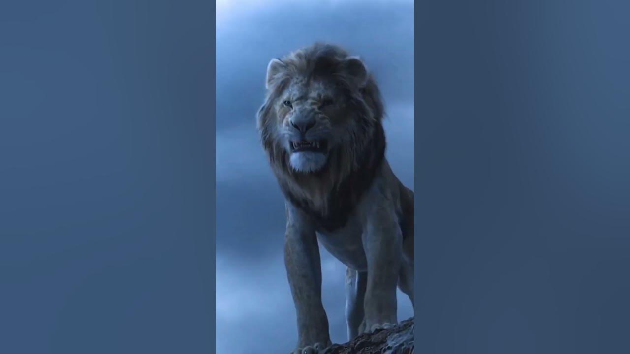 😎😎 Lion,Black panther,tiger,cheetah