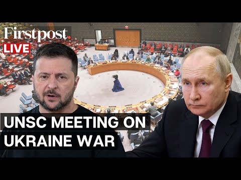 WATCH: UN Security