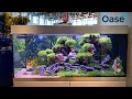 Oase booth at interzoo 2022 full tour  7 beautiful aquascapes