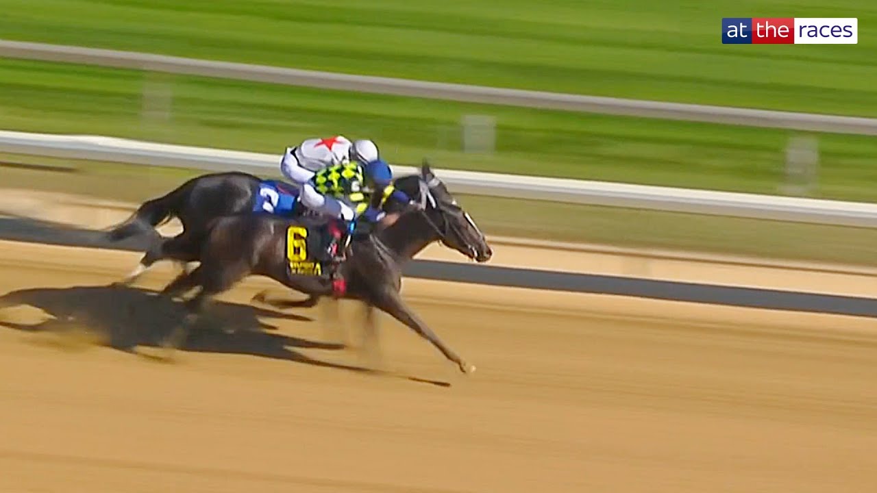 ЖЕЛЕЗНЫЙ САД СКУЧНО СКОПИЛ ВО ФРИЗЕТТЕ! Непобедимая кобылка добилась первого успеха в триллере!