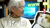 Dvd どスコい座り猫 まる 養老孟司先生と猫の営業部長 予告編 Youtube Dvd どスコい座り猫 まる 養老孟司先生と猫の営業部長 予告編 Youtube