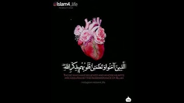سورة الرعد ( ٢٨ ) Surat Ar-Raad Verse 28