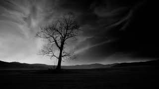 Wira Negara - Aritmia lyrics on screen