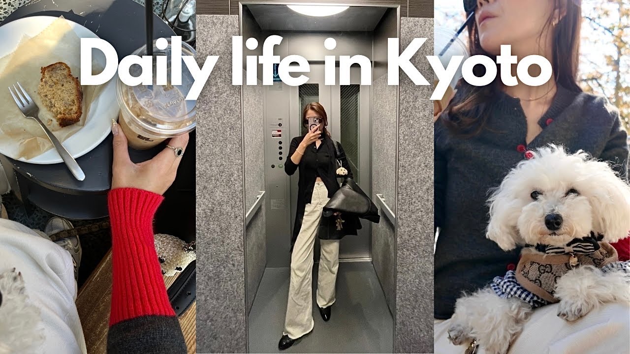 【京都】とある秋の日常🍂🐶☕️カフェ, 和食レストラン, 購入品紹介