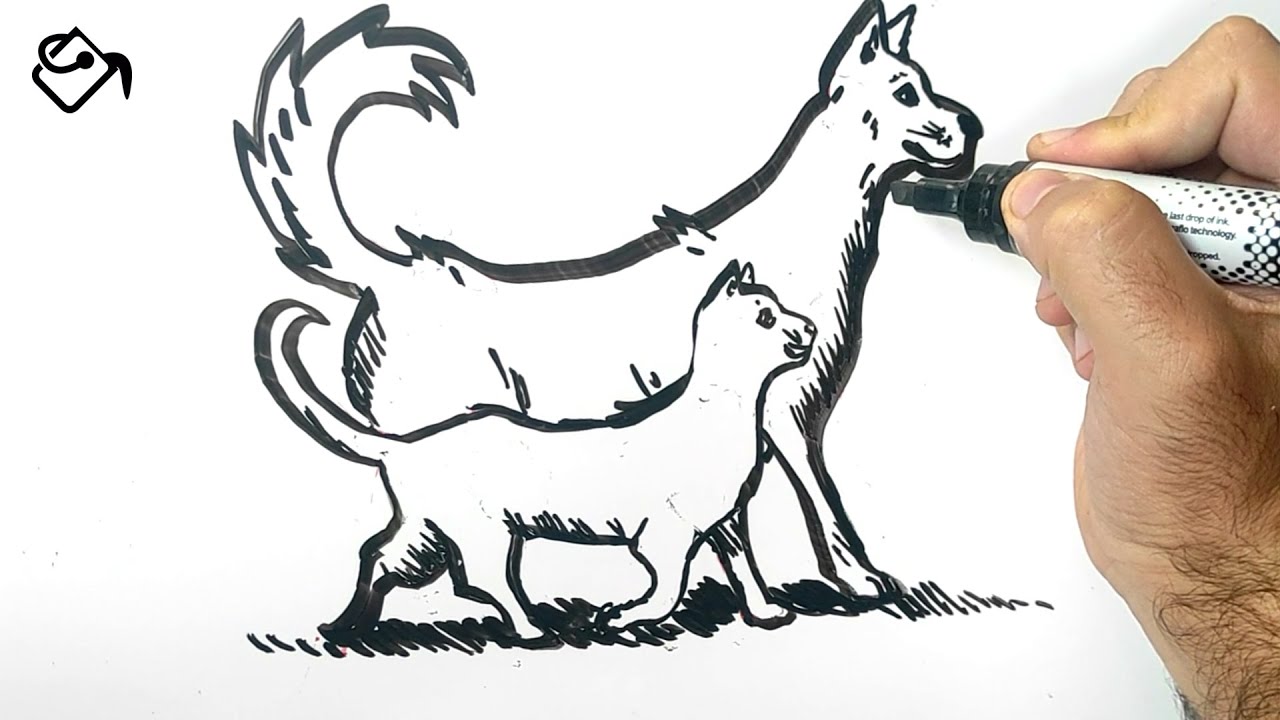 Comment dessiner un CHAT et un CHIEN facile a dessiner - YouTube