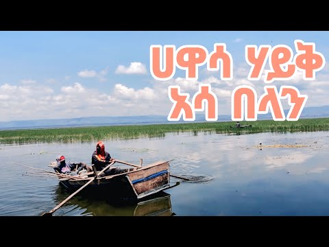 ሀዋሳ ሃይቅ አሳ በላን Ethiopian City Walking Tour Channel 2025