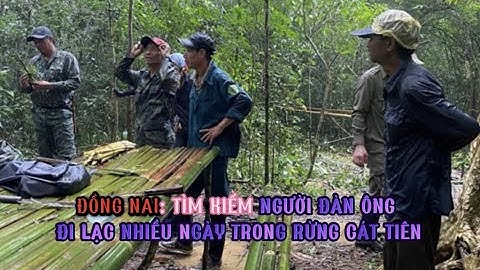 Đồng Nai: Tìm kiếm người đàn ông đi lạc nhiều ngày trong rừng Cát Tiên