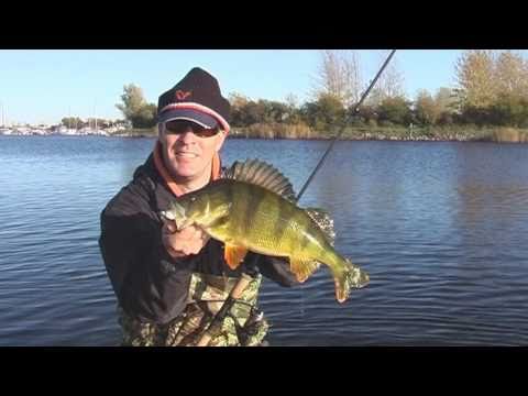 Savage Gear Soft 4Play READY TO FISH video