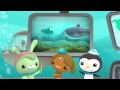 Creature Report - The Octonauts