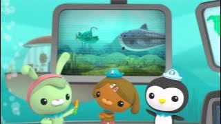 Creature Report - The Octonauts