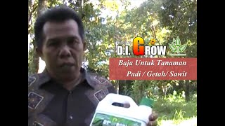 DI GROW | BAJA UNTUK TANAMAN PADI, GETAH DAN SAWIT