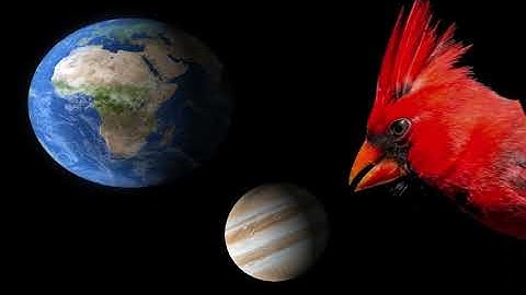 MusicbyAden - Dawn, Loop Music, Intro Beats, (free music ) NON Copyright