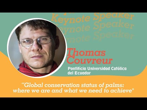 Global conservation status of palms: where we are and what we need to achieve