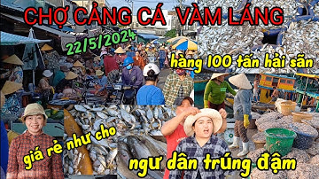 Hải sản giá rẻ như cho tại Chợ Cảng Cá Vàm Láng - gò công Tiền Giang