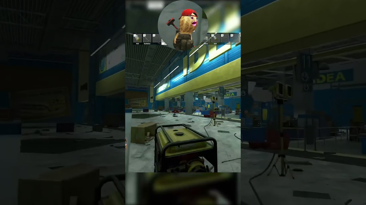 АРАХИС ДЕЛАЕТ УПА-ПУПСИ НА GINGY