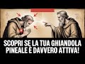 Sintomi di una Ghiandola Pineale Attiva