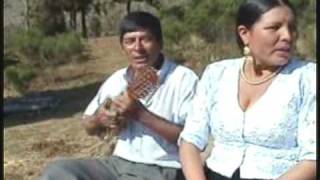 Video thumbnail of "PARASHANTAQ..WAYRASHANTAQ (Tonada -Todos Santos /Aya Mark'ay Raymi"