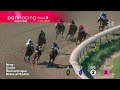 Race #9 05/16/26