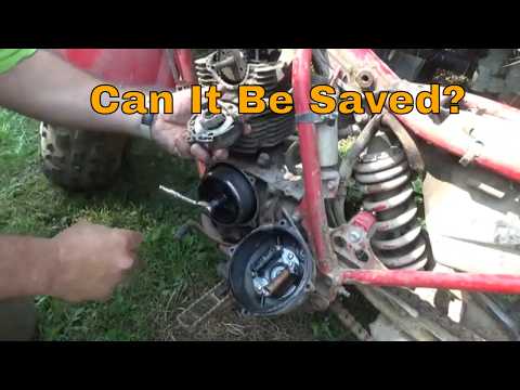 Honda ATCs Hidden in a Crawl Space for 25 Years!