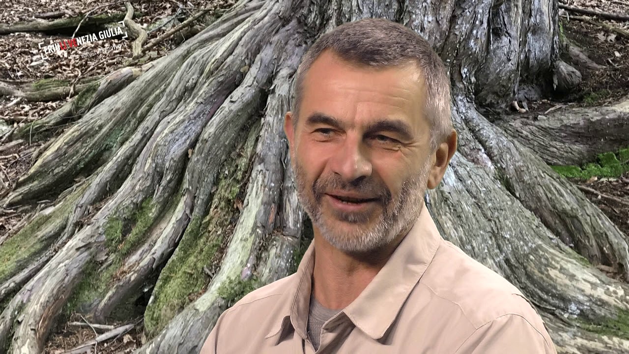 01 AMBASSADORFVG Gli alberi ci parlano - Andrea Maroè