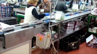 Cherries packaging line in punnets_Novatec Γραμμή Συσκευασίας Κερασιών σε κουπάκια