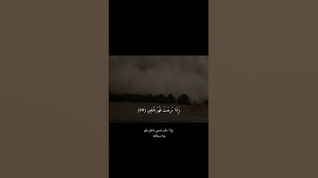 سوره الشعراء القارئ يوسف الصقير #غزة_تجوع