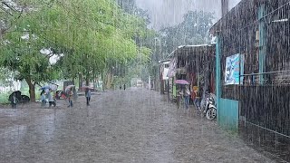 Heavy rain and strong winds in my quiet village | Sleep instantly with the sound of heavy rain