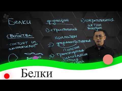 Видео: Является ли тубулин сократительным белком мышц?