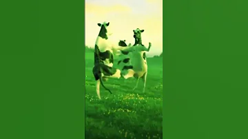 تبارك توته توته 
