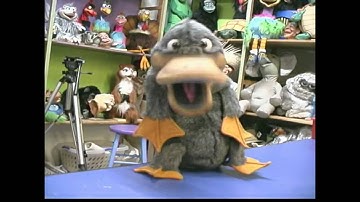 P-P-Platypus Puppets are Made by Axtell Expressions, Inc.
