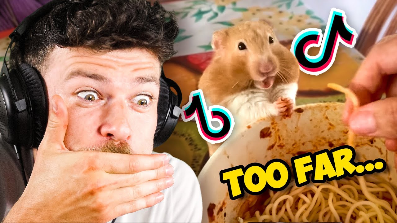 Tiktok Pets Are Insane... - YouTube