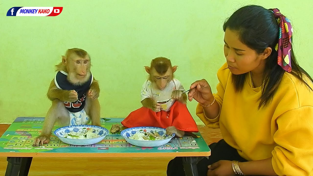 Adorable Baby Kako And Luna Eating Cabbage With Pork Soup