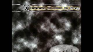 Infinite Shades Of Gray - Maintain [1999]