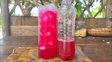 Cách làm enzim thanh long rất tốt cho tiêu hoá