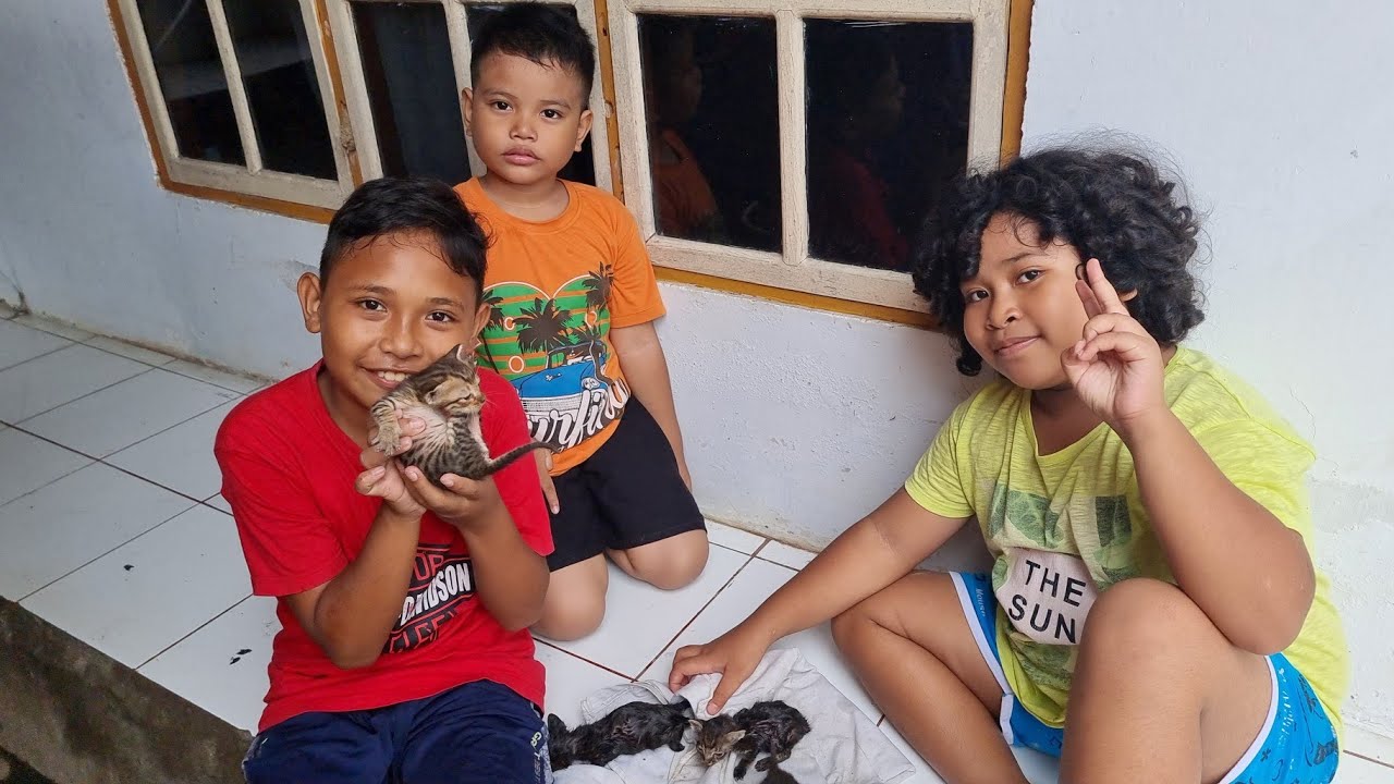 Anak Kucing Lucu ❤ Hadiah Tahun Baru Zefanya Oyanio