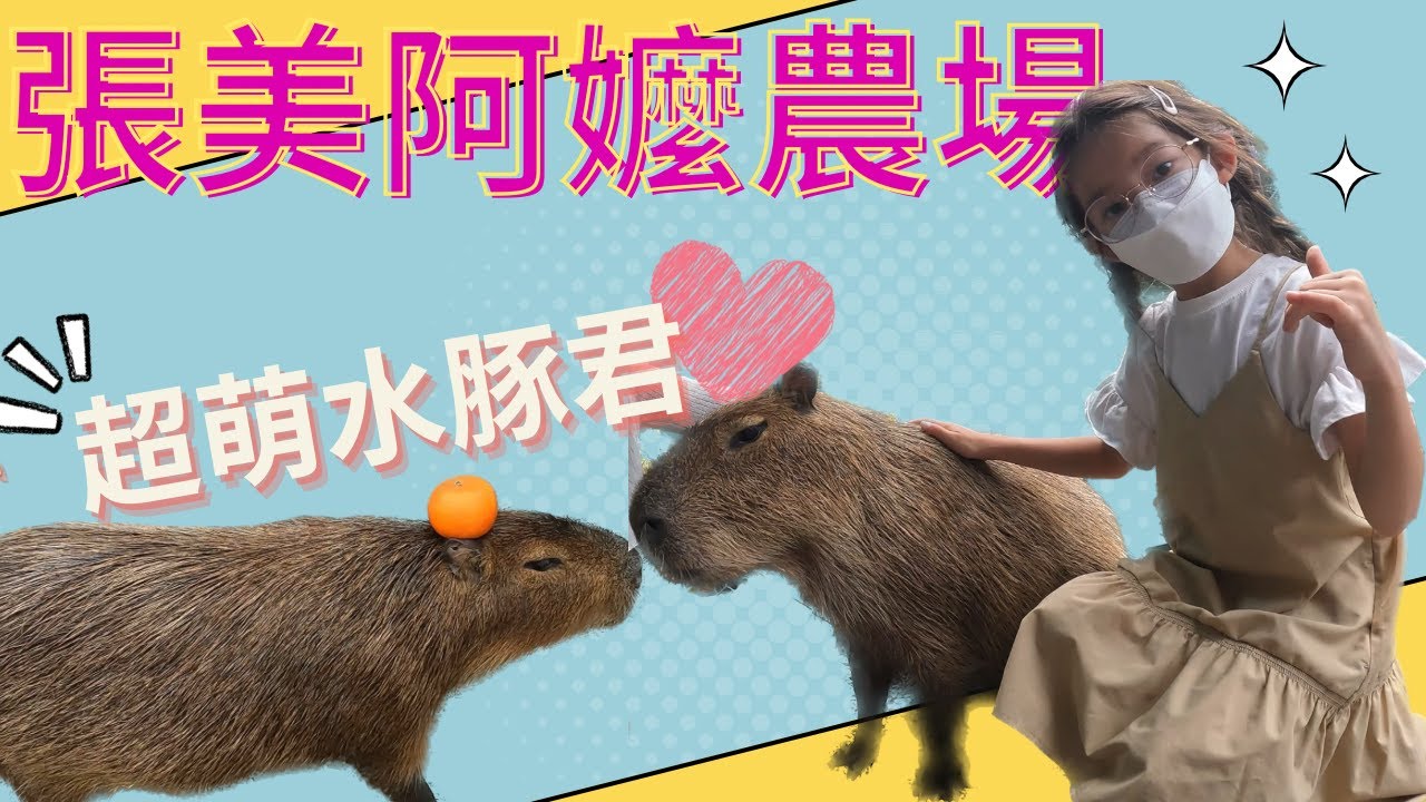 宜蘭激推＃張美阿嬤農場超近距離動物接觸超萌水豚君梅花鹿袋鼠！DIY手