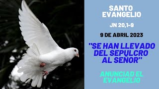 Lecturas de hoy Domingo de Pascua | 9 de Abril 2023 | Jn 20,1-9