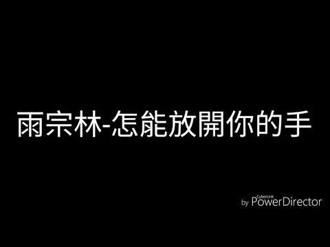 雨宗林-怎能放開你的手(歌詞)